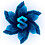 Shiroi